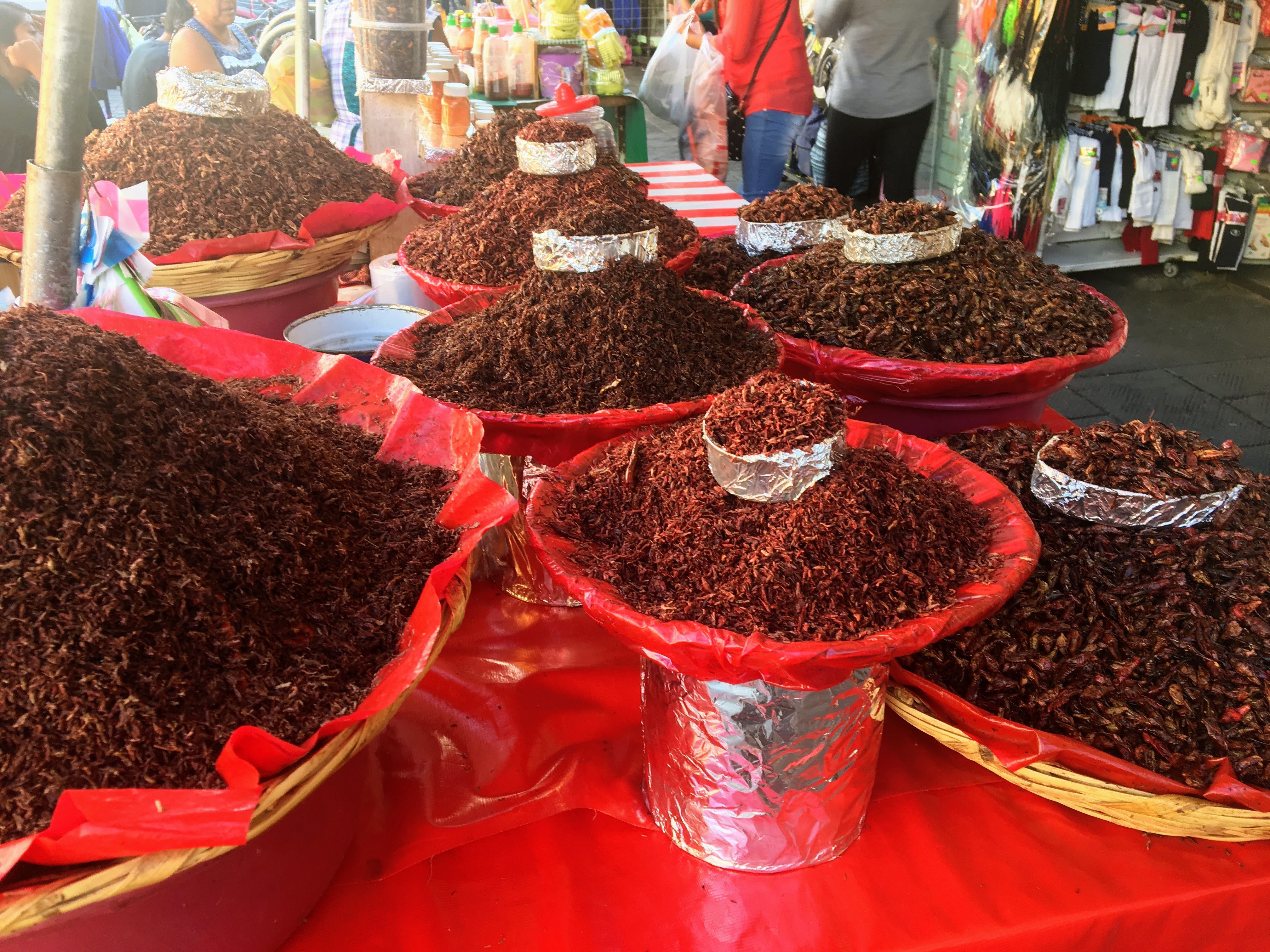 Chapulines at the market